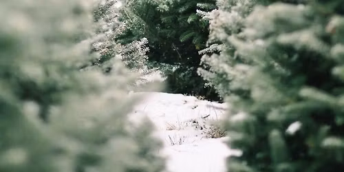 Christmas Mini Photo Session