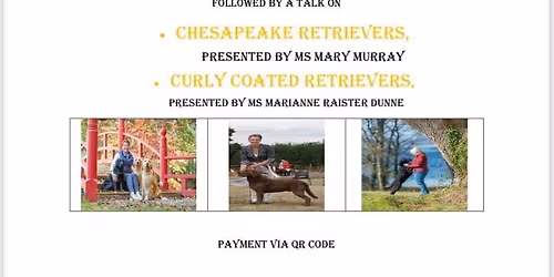 Golden Retriever Society of Ireland \u2013 Module 4 Seminars