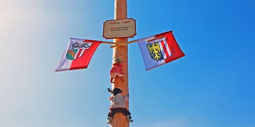 Traditionelles Maibaum-Aufstellen