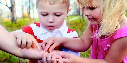 Friday Family Walk & Craft