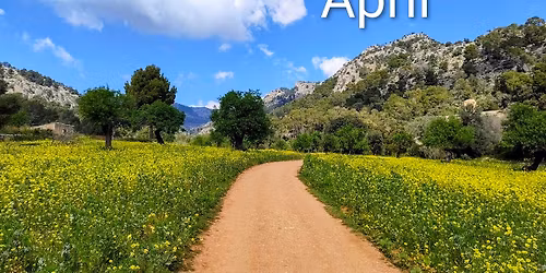 Experience Thai cooking class in Palma