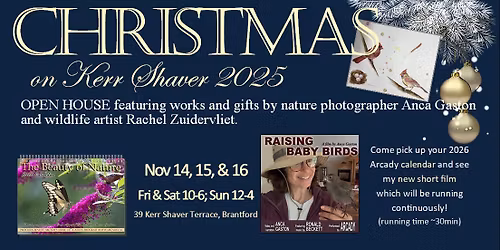 Christmas on Kerr Shaver