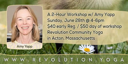 Yoga for Beginners Workshop