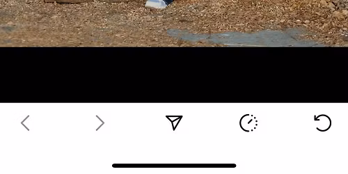 Danicas graduation celebration 