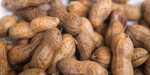 The Murrells Inlet Boiled Peanut World Championship (Nut Off)