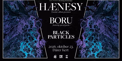 H\u00e6nesy [lemezbemutat\u00f3] \u00d7 BORU \u00d7 black particles