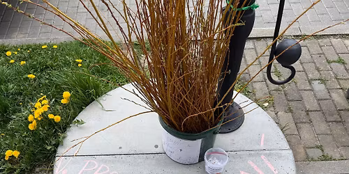 Proutkobran\u00ed VI.