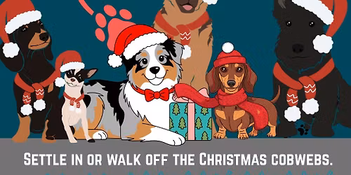 Paws and Pints: Dog Social 