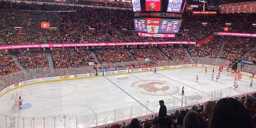 Calgary Flames vs. Anaheim Ducks