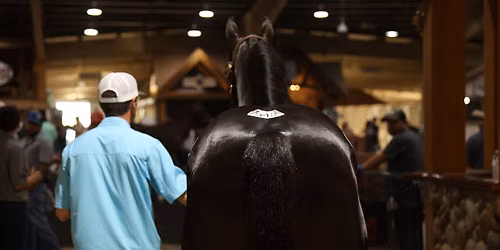 48th Annual Heritage Place Yearling Sale (OFFICIAL)