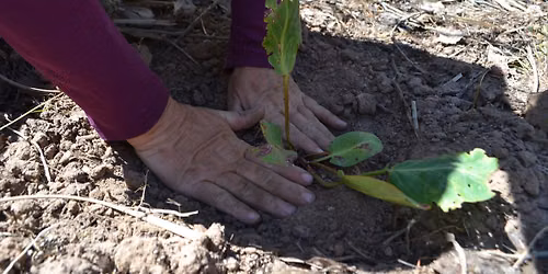 Bosque Restoration Field Day!