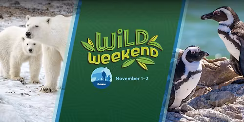 Wild Weekend: Oceans