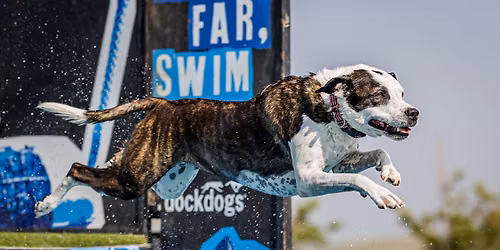 DockDogs\u00ae at the Canteen Cruise Fest