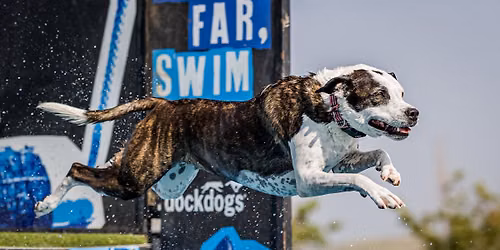 DockDogs® at the Canteen Cruise Fest