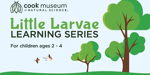 Little Larvae Learning Series - Spring 2026