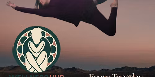 Aerial Vin to Yin Flow for Manifestation at Wellness Hug