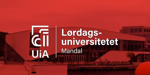 Vinlandsmyten og det norske Amerika p\u00e5 1800-tallet 