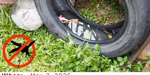 Tire Amnesty Day