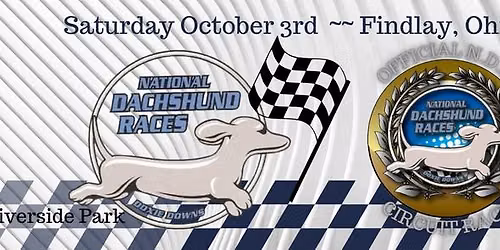 Dachshund Racing - Doxie Downs