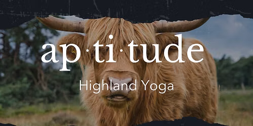 Highland Yoga - Yoga with Cows!
