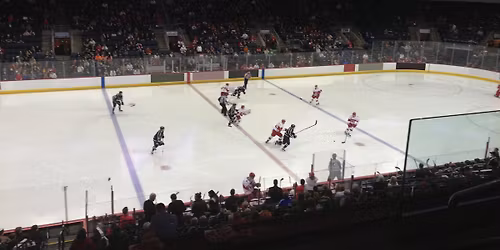 Tulsa Oilers at Allen Americans