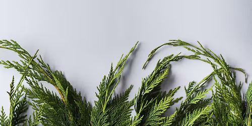 Wreath Making Workshop - Saturday, 11\/22\/25 - Sunday, 11\/23\/25