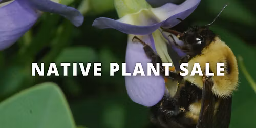 Kansas City Native Plant Sale \u2013 Anita B. Gorman Discovery Center