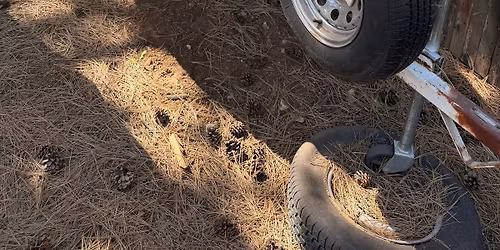 Onsite Flagstaff Estate (Everything goes)