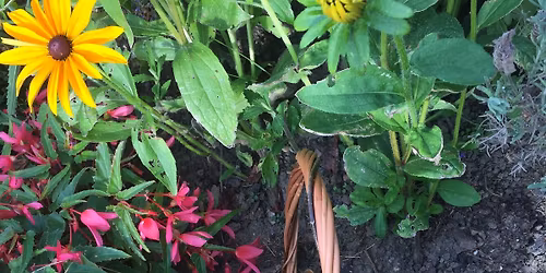 GWERNOGLE (SA32 7SA) \u2013 Garden Trug Willow Workshop at our Home Studio