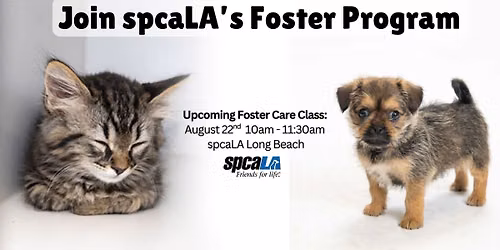 Foster Training Class \u2013 August 22nd