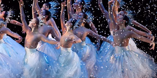 Phoenix Ballet: The Nutcracker