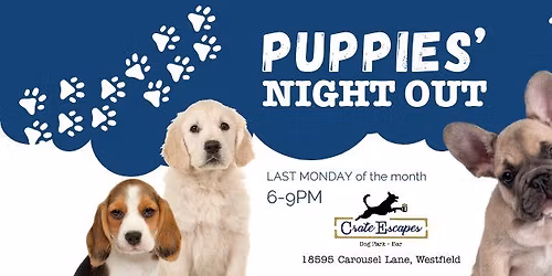 Puppies' Night Out