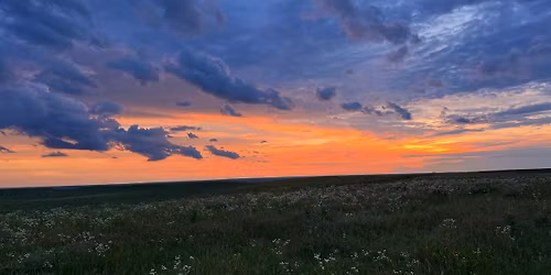 Screening: Prairie Prophecy: The Wes Jackson Documentary