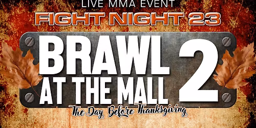 Brawl at the Mall 2