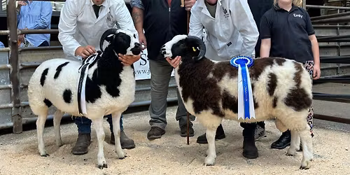 Scottish Show and Sale 