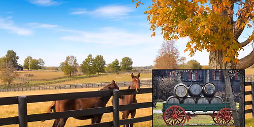 Bourbon & Horses Tour