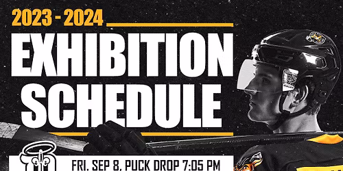 Green Bay Gamblers vs. Sioux City Musketeers