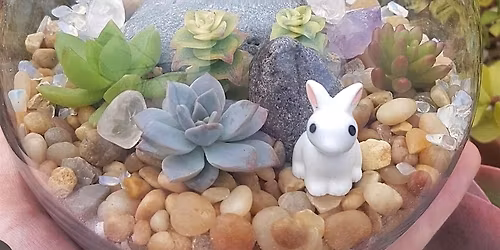 Copy of Live Succulent Terrarium Workshop in Temecula, CA!