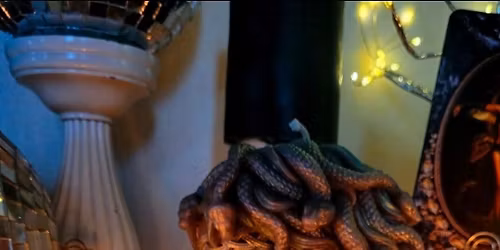 Holiday Pop- Ups \ud83c\udf84\u2b50\ud83c\udf19