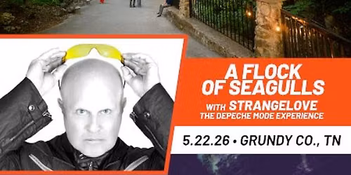 A Flock of Seagulls & Strangelove - The Depeche Mode Experience