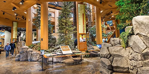 The Sound Healing Symphony at the World Forestry Center