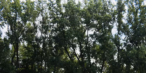 Anita Dance Academy: Student Showcase