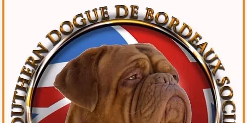 The Southern Dogue de Bordeaux Society Open Show