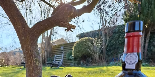 Vandretur og portvin