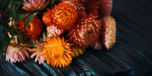 Bereavement & Belongings: Where to Begin