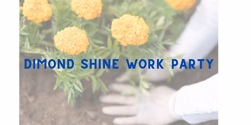 Dimond Shine - Fall Work Party