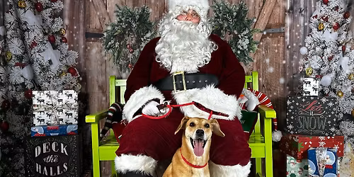 Santa Paws Photo Party at Hounds Town Smyrna!