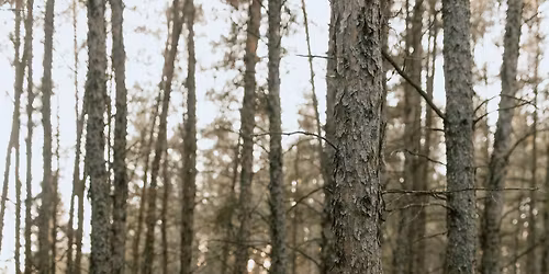 Amy & Josh\u2019s Wedding Social