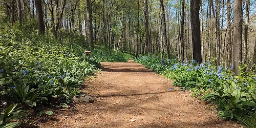 Tales of Stroud Preserve: Then & Now