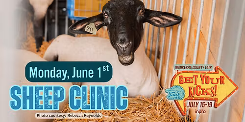 2026 Waukesha County Fair Sheep Clinic